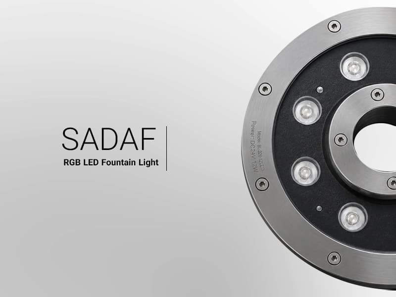 صدف